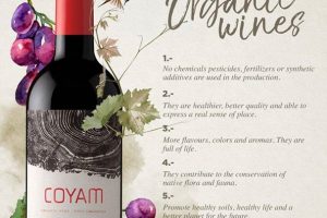 (Tiếng Việt) 5 Lý do bạn nên sử dụng VANG HỮU CƠ – ORGANIC WINE
